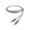 Chord Leyline Analogue RCA Interconnect (Pair) (0.5m)