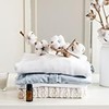 Kleen Free Naturally Preformed Enzyme Cleaner, Enzyme Solution, Multi-Purpose Cleaner,