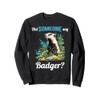Badgers Did someone say Badger Sweatshirt