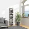 isightguard Vertical Shoe Rack, 10 Tier Grey Narrow Shoe Organizer