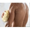 Real Sea Sponge for Men - Extra Large 6"-7", Totally