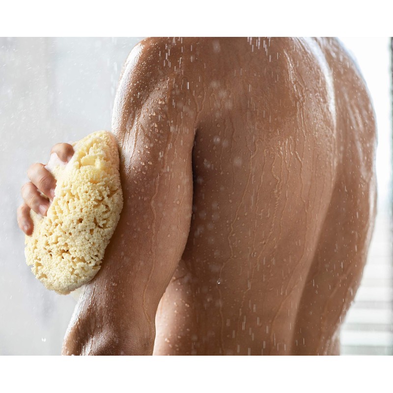 Real Sea Sponge for Men - Extra Large 6"-7", Totally