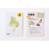 Gentosha Karuta Card Game 47 Prefecture