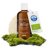BEAUVITAL Organic Hericium Extract Liquid | Liquid Extract Lion's Mane/Hedgehog