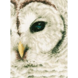 Lanarte PN-0163781 Counted Cross Stitch Kit: Owl (Evenweave), NA, 19 x 26cm