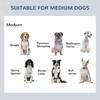 PawHut Elevated Dog Bowls, Double Stainless Steel Heavy Duty Dog