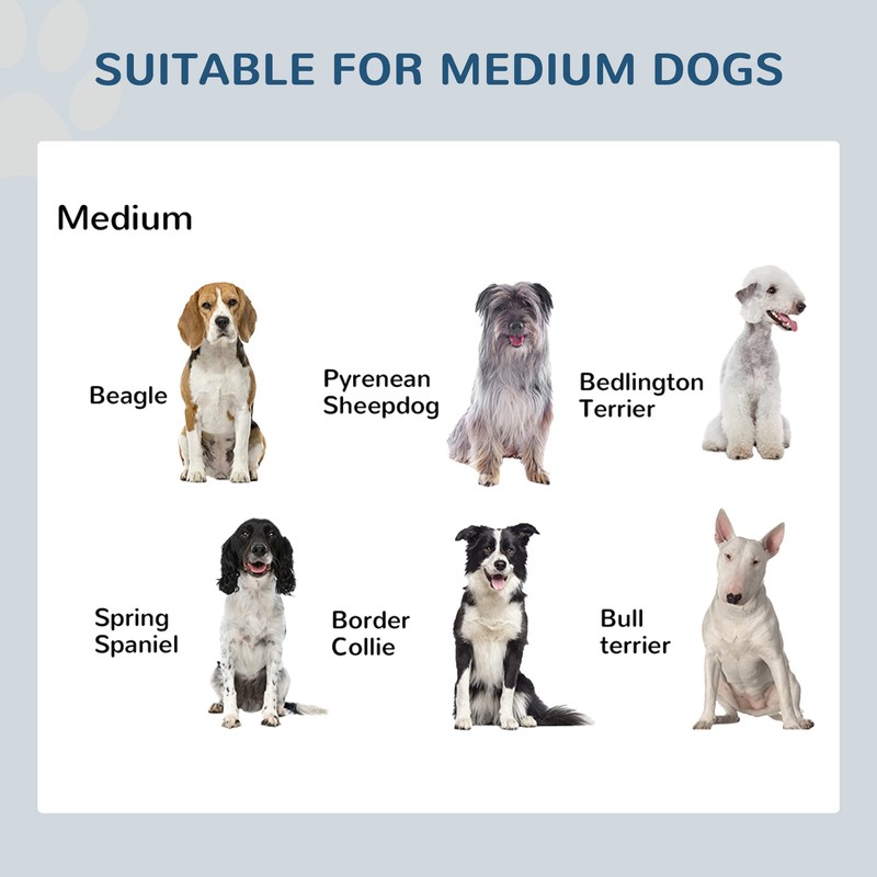 PawHut Elevated Dog Bowls, Double Stainless Steel Heavy Duty Dog