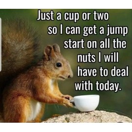 Funny Squirrel  refrigerator magnet 3 1/ 2x 3 1/2 Made in the USA