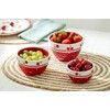 Gracie China Shop Red Cherry 3-Piece Hand Painted Mixing Bowl