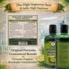 HIGH SUPREME Shampoo organic bergamot (16.9 fl oz) with aloe
