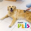Fancy Pets Peine Rompenudos para Perro con Doble Cabezal