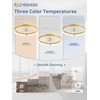 ZMISHIBO Low Profile Ceiling Fans with Lights and Remote, 20