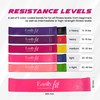 EasilyFit Resistance Bands – 5-Pcs Resistance Bands for Working Out