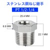 TAILONZ PNEUMATIC 2pcs Cast 304 Stainless Steel Reducer Hex Fittings,