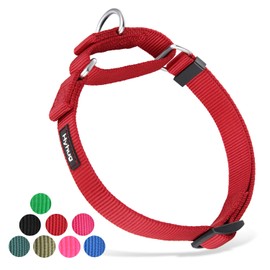 Durable Nylon Anti - Escape Martingale Dog Collar for Puppy Boy and Girl Dogs - Walking Training Daily Use. (Small, Red)