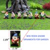 HONEYSHOW Fairy Garden Accessories, 7PCS Gnome Figurines-Mini Gnomes kit/Seven Dwarfs