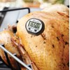 Outset F800 Instant-Read Digital Thermometer,Black