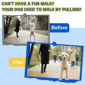 Supet Dog Prong Collar for Dogs, No Pull Pinch Collar, Adjustable Dog Training Collar with Metal Quick Release Buckle, Extra Link & Rubber Tips for Small Medium Large Dogs