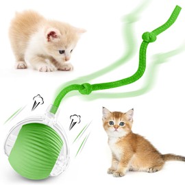 luseyfj Interactive Cat Ball Toys for Indoor Cats, Peppy Pet Ball, 2025 Upgraded Automatic Kitten Toy for Bored Indoor Adult Cat, 360°Smart Rolling Toy (Green)