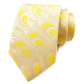 Ctskyte Men Boys Light Yellow Jacquard Woven Silk Tie Office Ball Party Necktie New Year