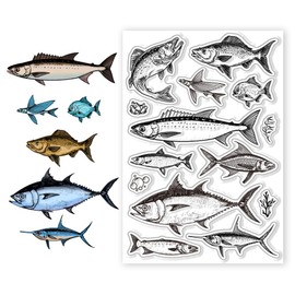 CHGCRAFT Realistic Fish Silicone Clear Stamps Fish Stamp for DIY Scrapbooking Photo Album Decorative Cards Making Stamps for Holiday Card Making Album Crafts