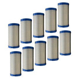 The ROP Shop | (10-Pack) AIR FILTER for Raisman 8030010; Toro 108-3811, 93-2195; Walker 5090-1