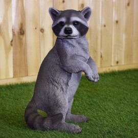 Hi-Line Gift Ltd Raccoon on Hind Legs Statue
