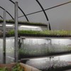 Full Spectrum LED Plant Growth Light Board Supplement Light for