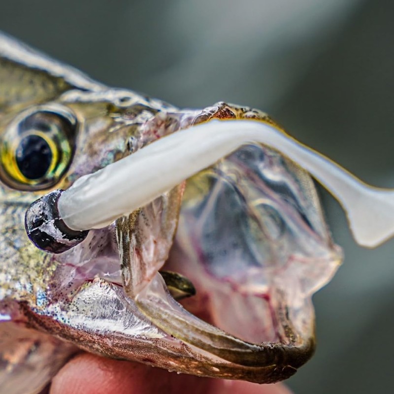 Baitfuel 2’’ NanoSwim Threadfin Shad