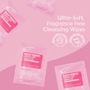 Air Jungles Makeup Remover Wipes 250 Count, Individually Wrapped, Extra