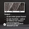 Alpecin Grey Attack Caffeine & Colour Shampoo - 5 x