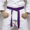 PATIKIL Taekwondo Colored Ranking Belt 1.6" x7.9Ft 2.4m, Polyester Martial