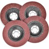 HATANSE Pack of 10 Flap Discs Diameter 125 mm x