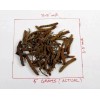 Pure 5 GM PURE CORDYCEPS SINENSIS wild US stock Fedex