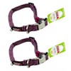 Set of 2 Woven Dog Collars - Pink - Medium