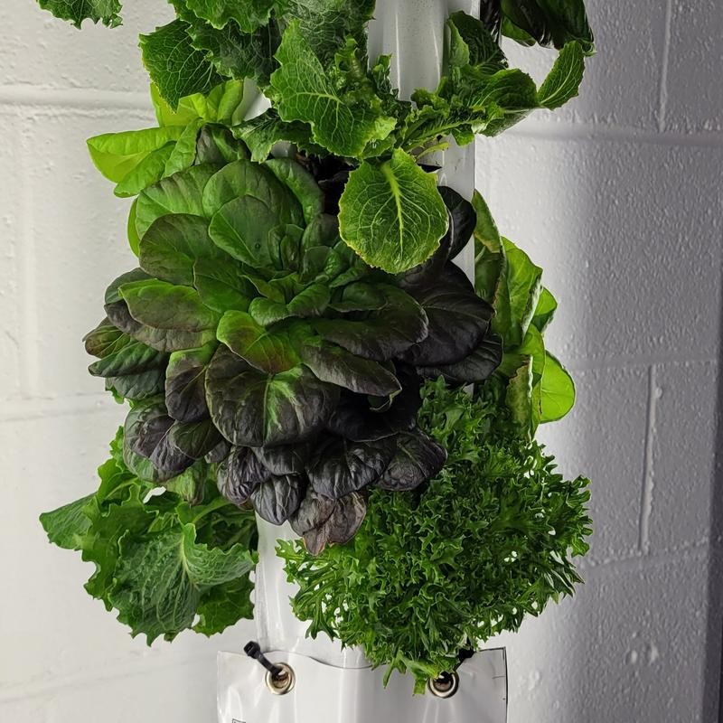 GrowMesh Stand & Hydroponic Garden 16 plant