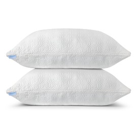 2 Pack Queen Size Rayon Derived from Bamboo Pillows for Sleeping, Cooling Shredded Memory Foam Pillow Sets for Back, Side, Stomach Sleepers, Adjustable, Removable Cover, Queen (Pack of 2)