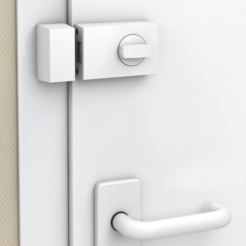 BASI 1305-0205 KS 500 Angular Rim Lock Without Door Guard,