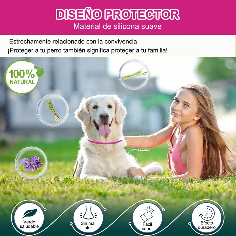 RYEWGRV 4 Pieza Collar con Hebilla, 65CM/26.6in (Rosa)