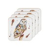Owl Coaster Set of 4