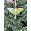 d’ears luna moth ornament, made in the U.S.A., family run