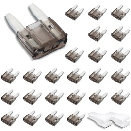 Innfeeltech 25 Pieces Mini Car Fuse Flat Car Fuse 2A with 2 Plastic Clips for Car, Truck and Motorcycle