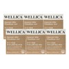 Wellica Liposome White Glutathione Vitamin C 6 Boxes / 웰리카