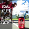 Suplemento Polvo Bsn Endurance And Recovery Aminoácidos Aminox Sabor Frambuesa