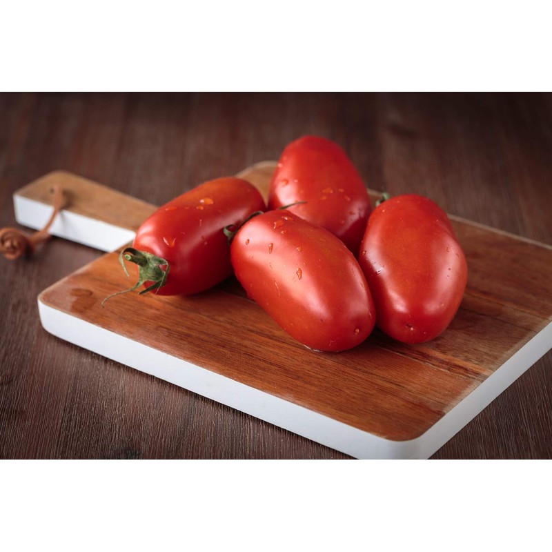 SAFLAX - Organic Tomato - San Marzano - 15 Seeds