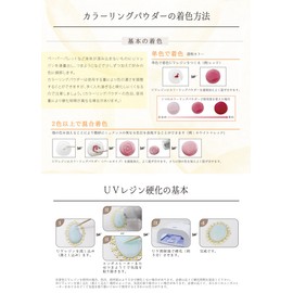 Resinate Coloring Powder 1.5gm Pearl Black