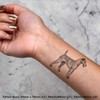 4 x 'Irish Terrier' Temporary Tattoos - Water Resistant, Skin-Safe,