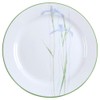 Corelle Impressions 10-1/4-Inch Dinner Plate, Shadow Iris