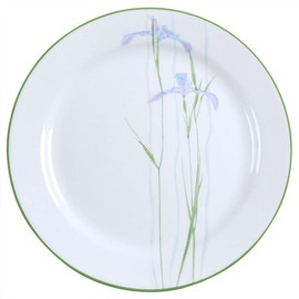 Corelle Impressions 10-1/4-Inch Dinner Plate, Shadow Iris