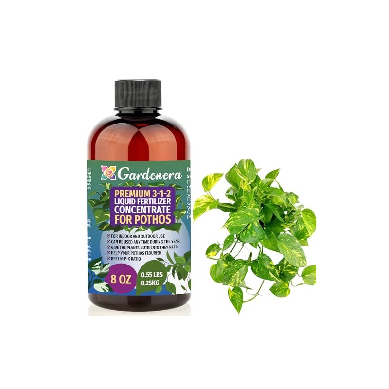Gardenera Premium Liquid Pothos Fertilizer - 3-1-2 Concentrate for Indoor